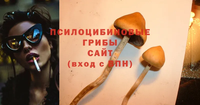 сколько стоит  Комсомольск  Галлюциногенные грибы Psilocybine cubensis 